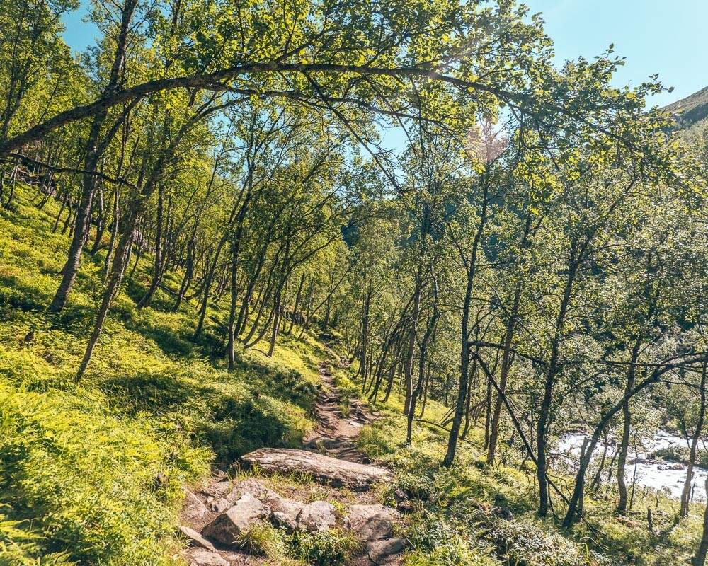 hike path 