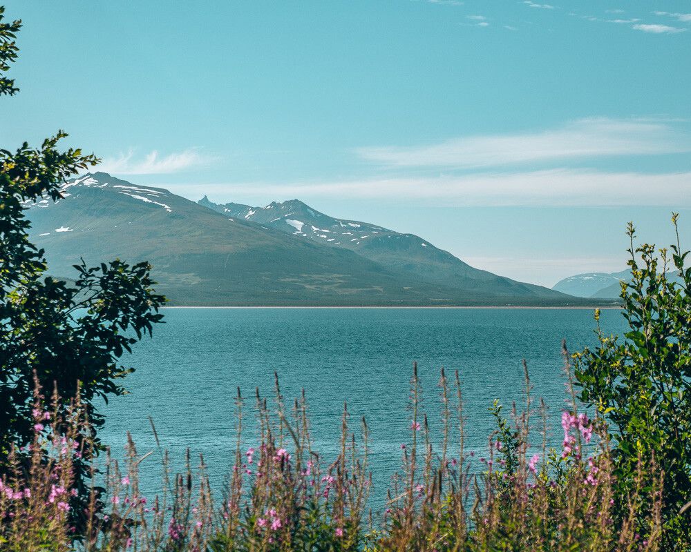 view of lyngen alps