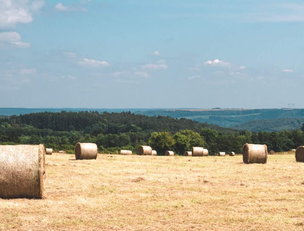 campagne