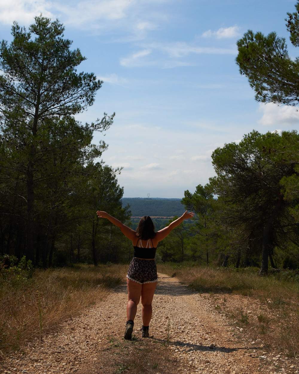 forest valley walk views