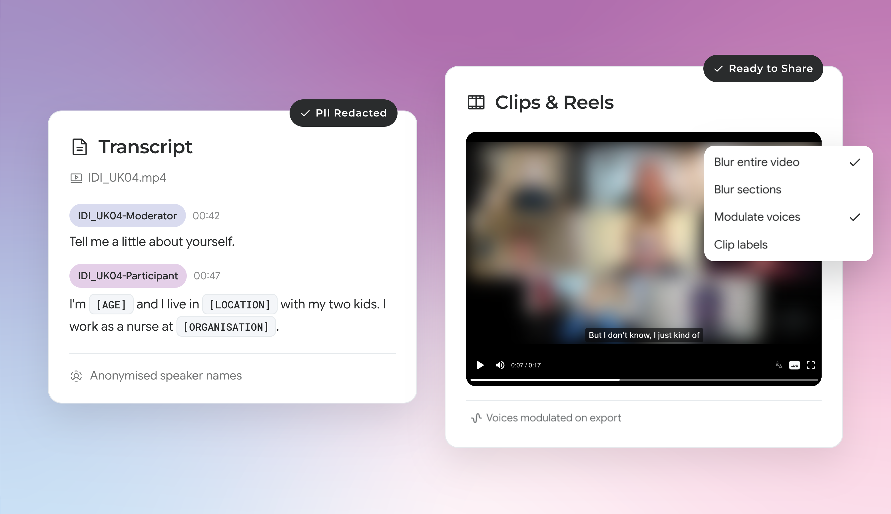 Video Anonymisation
