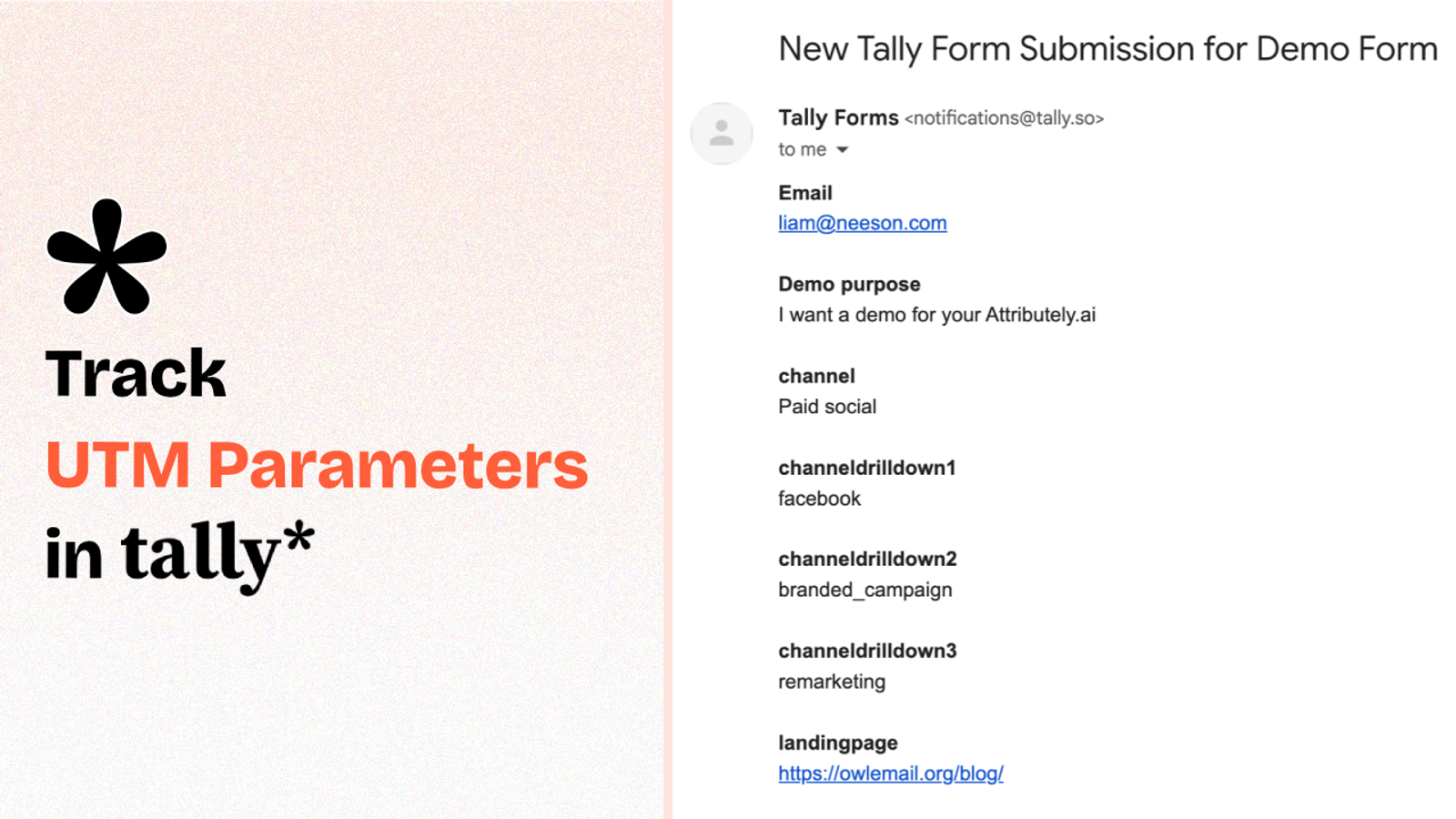 Capture UTM parameters in Tally Forms