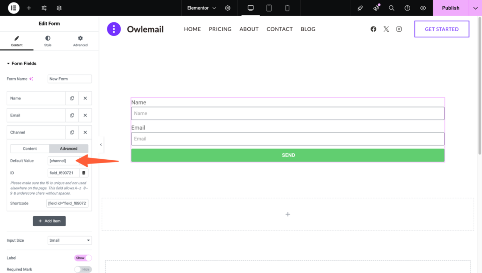 hidden fields value in elementor (1)