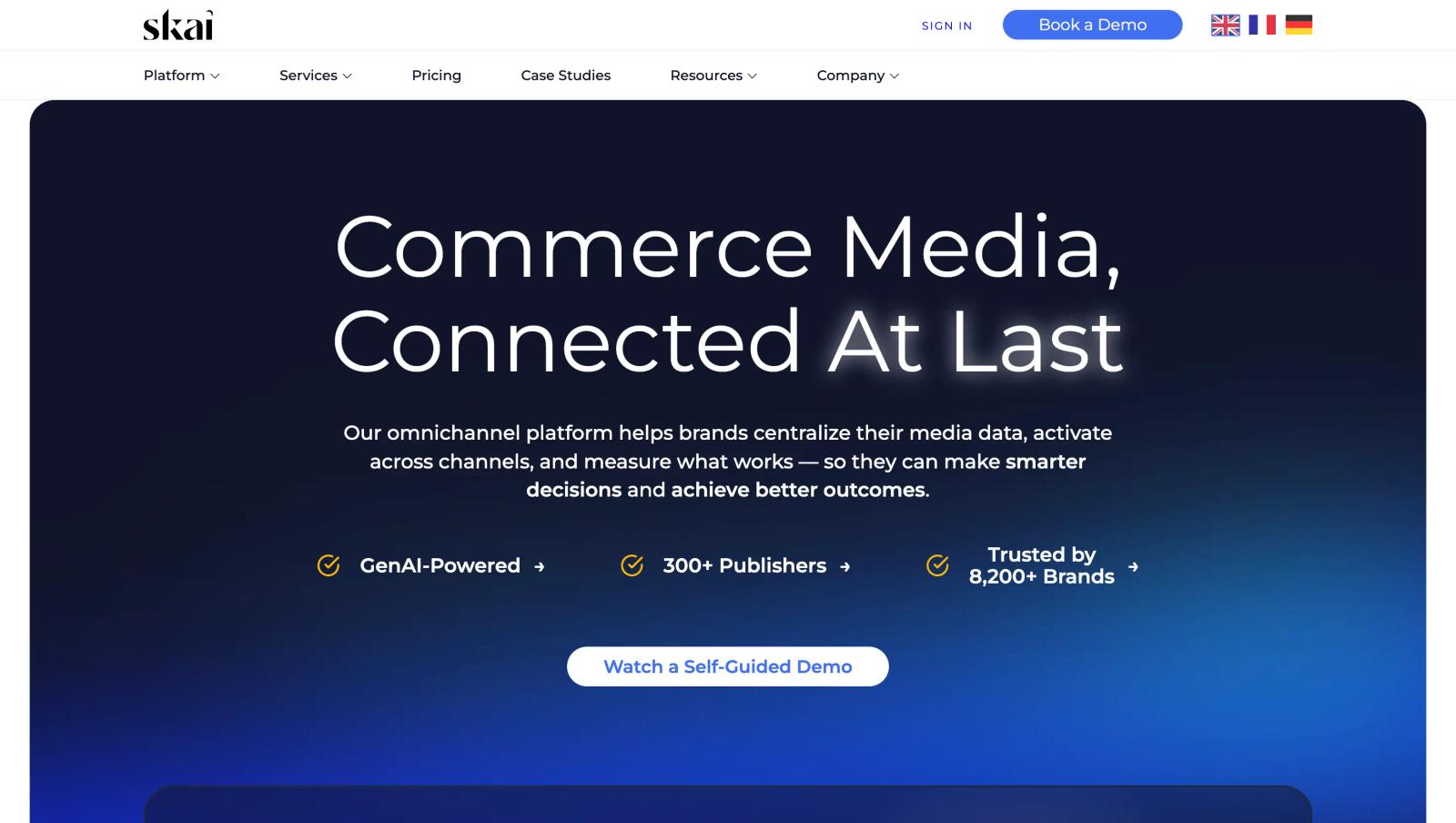 Skai media planning