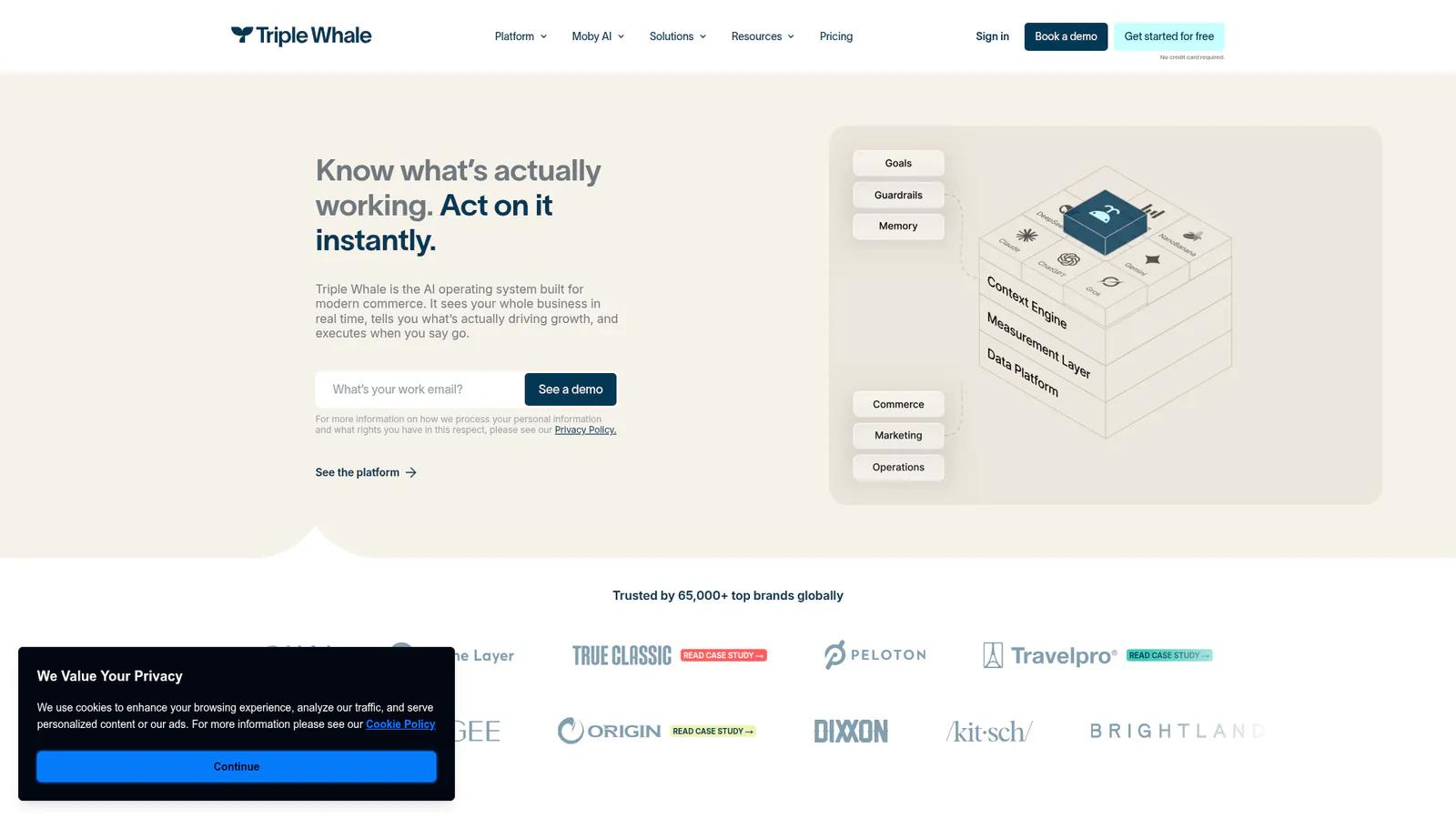 Triple Whale AI operating system for ecommerce homepage