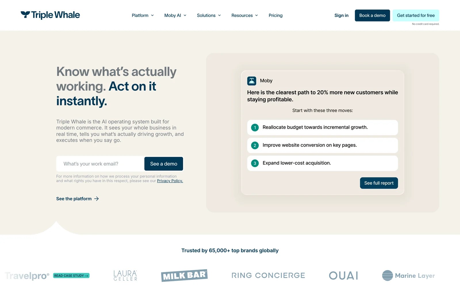Triple Whale homepage
