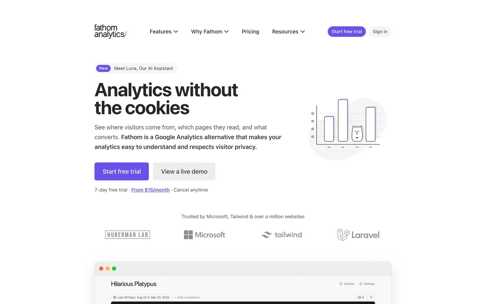 Fathom Analytics homepage headlined analytics without the cookies