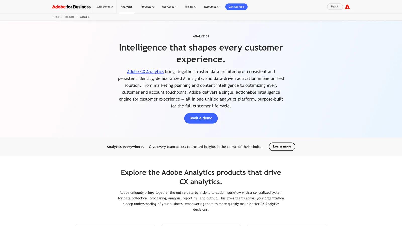 Adobe Analytics enterprise platform dashboard