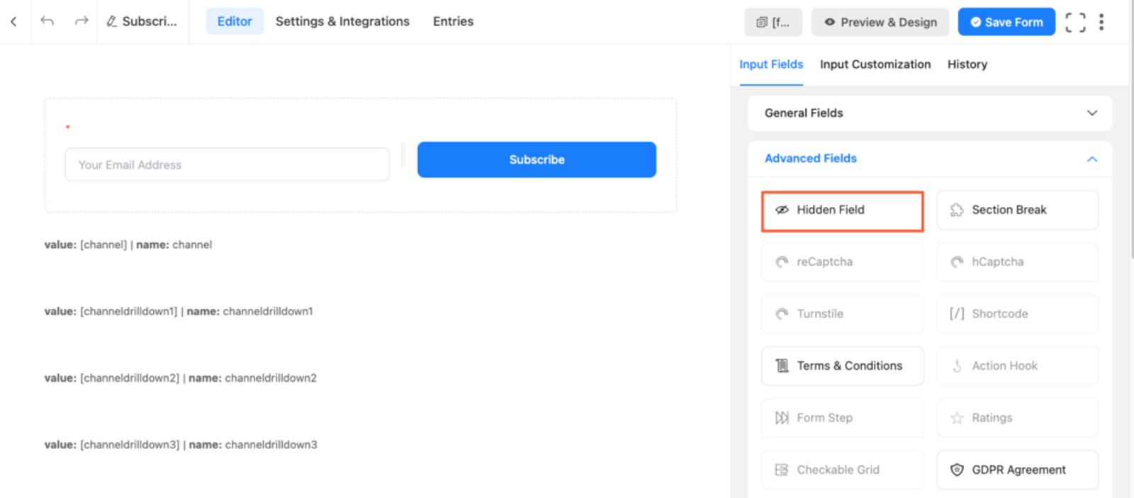 Hidden fields Fluent forms for UTM tracking