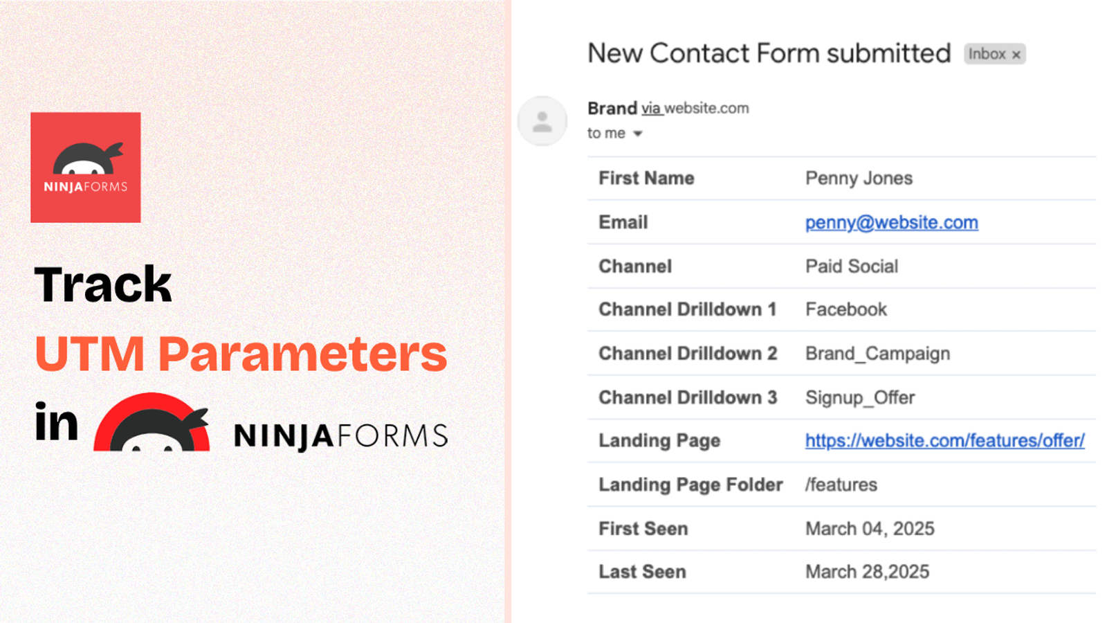 Ninja Forms utm parameters tracking