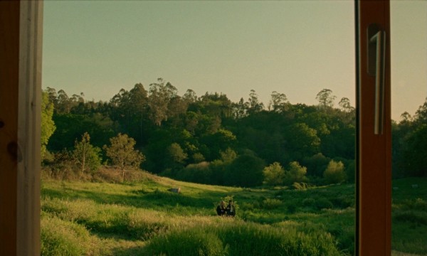 Strange Goodbye (2026) Gonzalo Hergueta — still 17