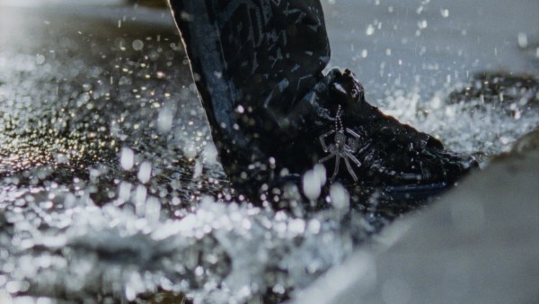 Sp5der x Adidas Bing Cao — still 4