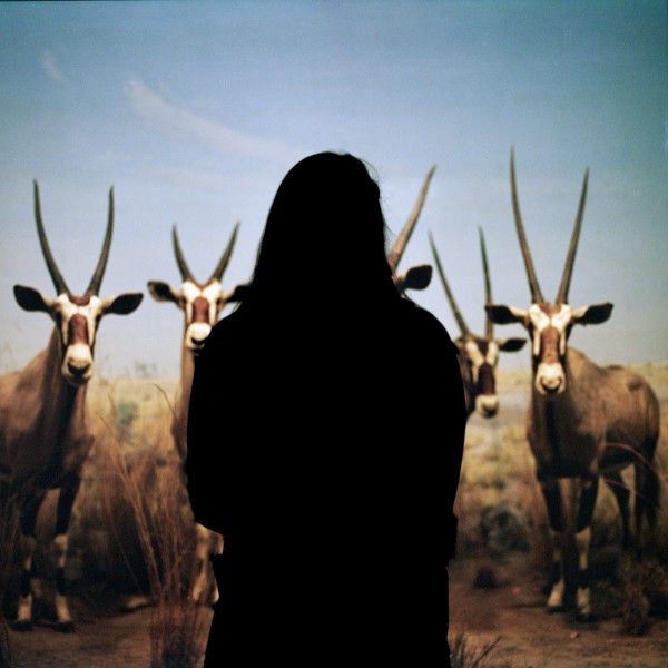 Mammals of NY