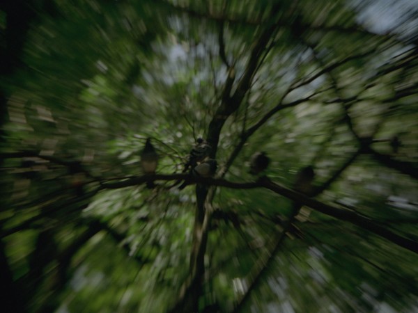 Tosca Sergi Castella — still 6
