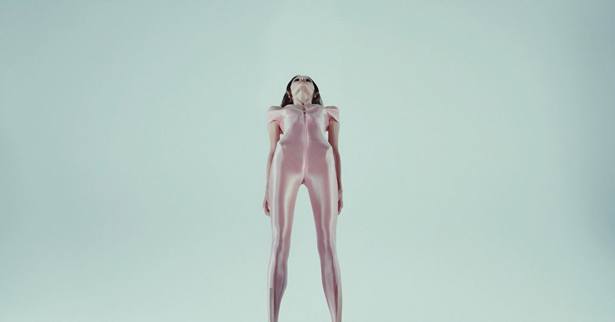 Dan Vignal — Photo