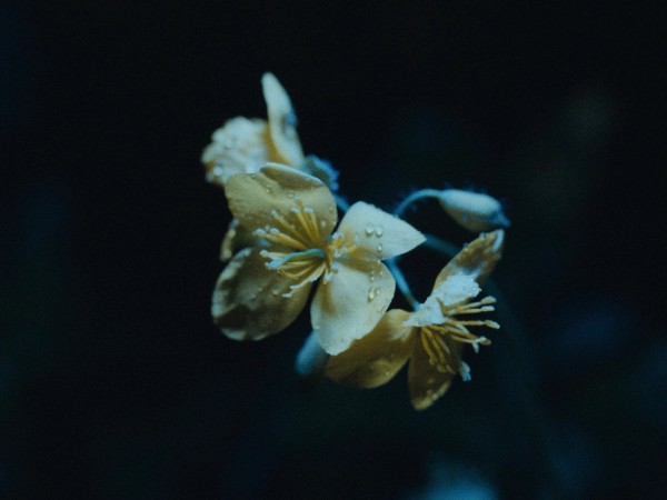 SCAD Jess Farran — still 4