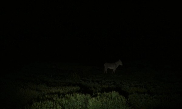 Strange Goodbye (2026) Gonzalo Hergueta — still 44
