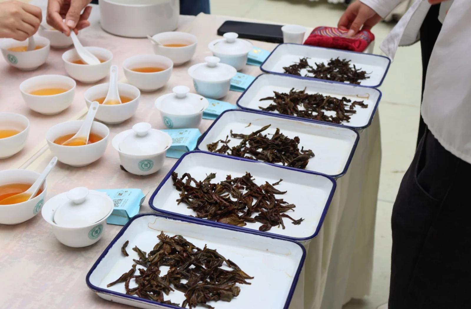 易武斗茶大会 (Yiwu Tea Contest / Mengla Tribute-Tea Festival), Yiwu
