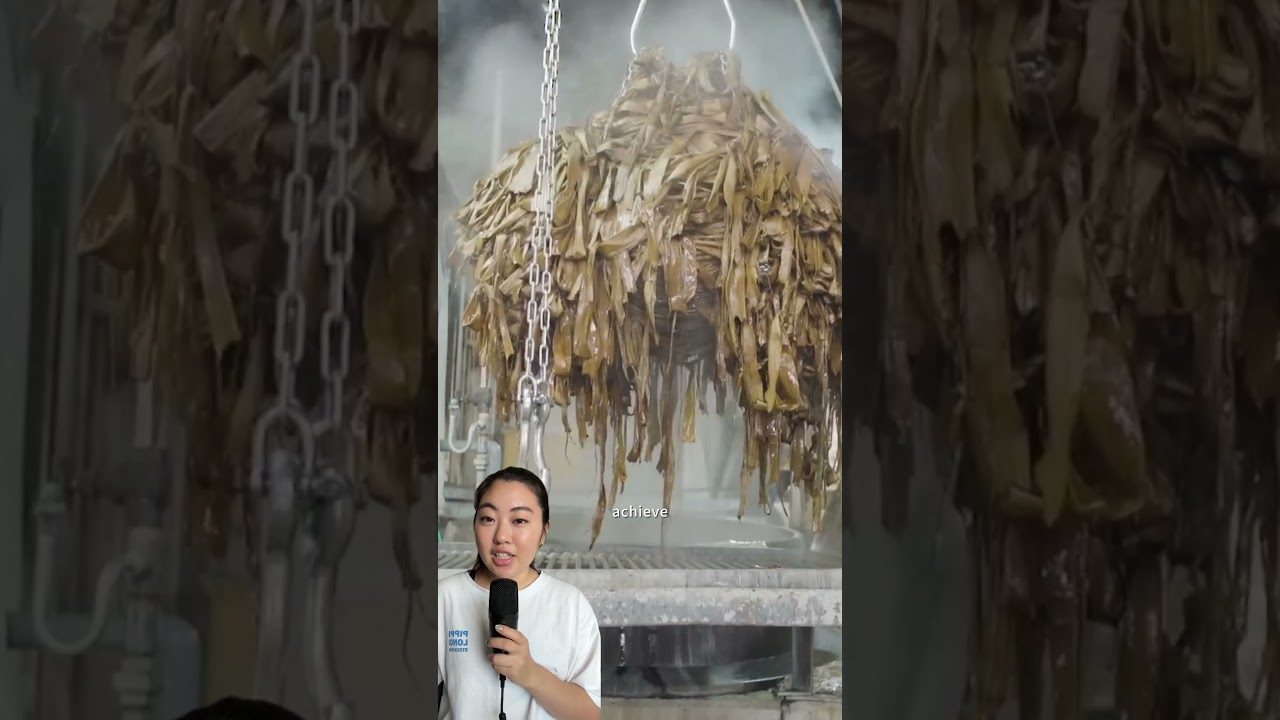 A still from the Craft Chronicles episode on The Thinnest Paper in the World