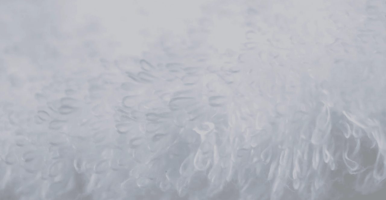 An extreme close view of white towel pile, the individual cotton loops standing up across the surface.