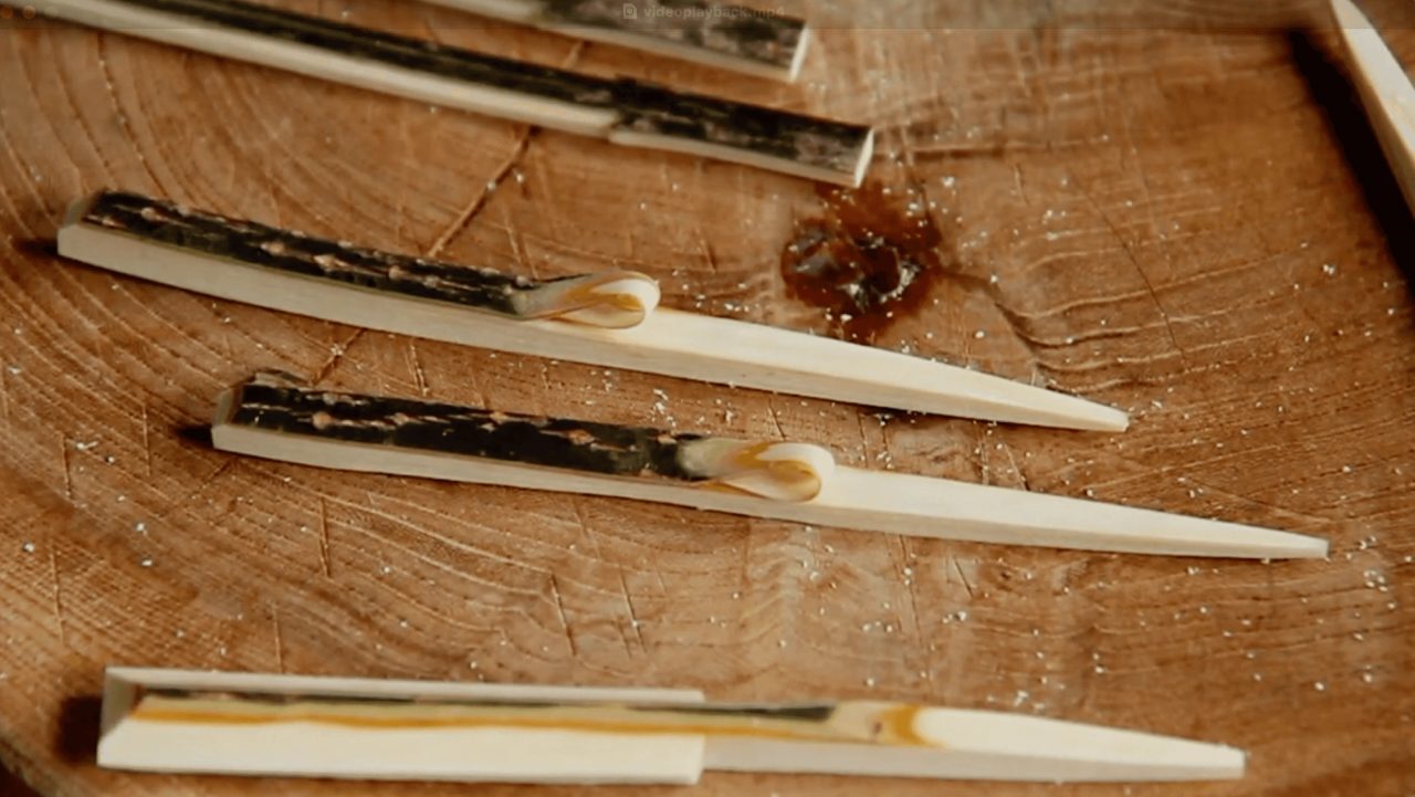 Five slender wooden picks lying on a cut tree stump, each whittled to a point with a strip of dark bark left along one side.