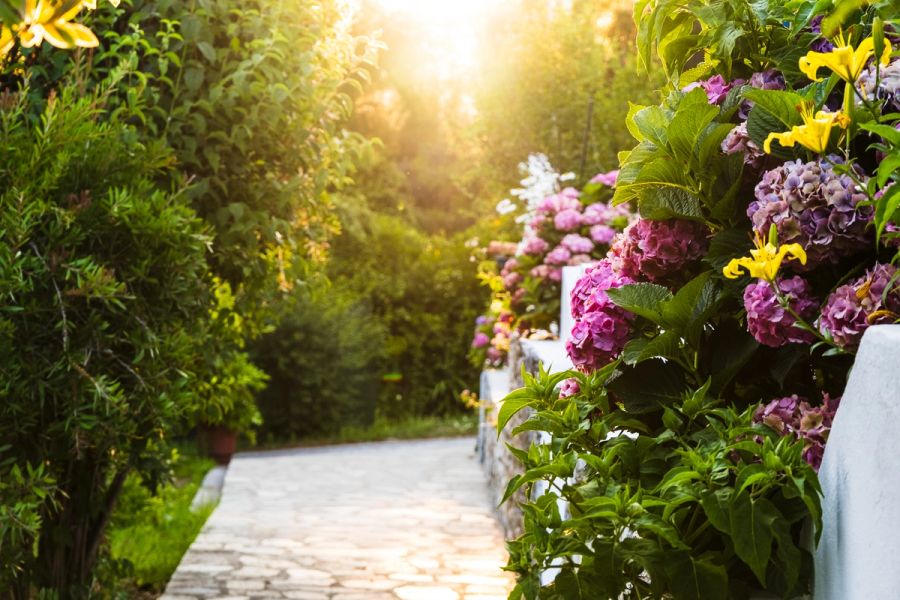Sunset with flowers