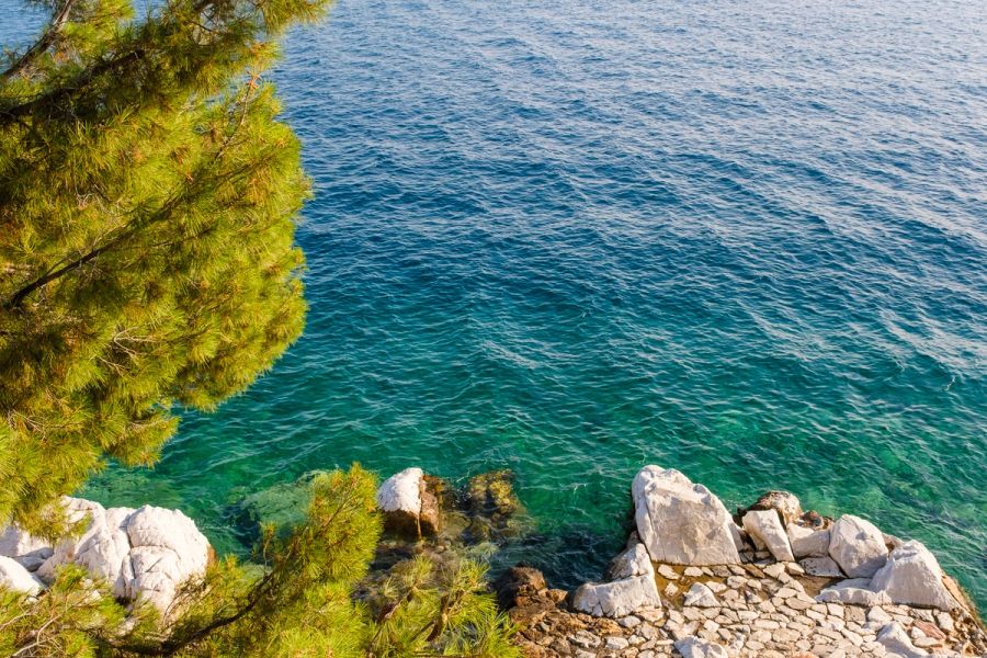 Beautiful sea shore