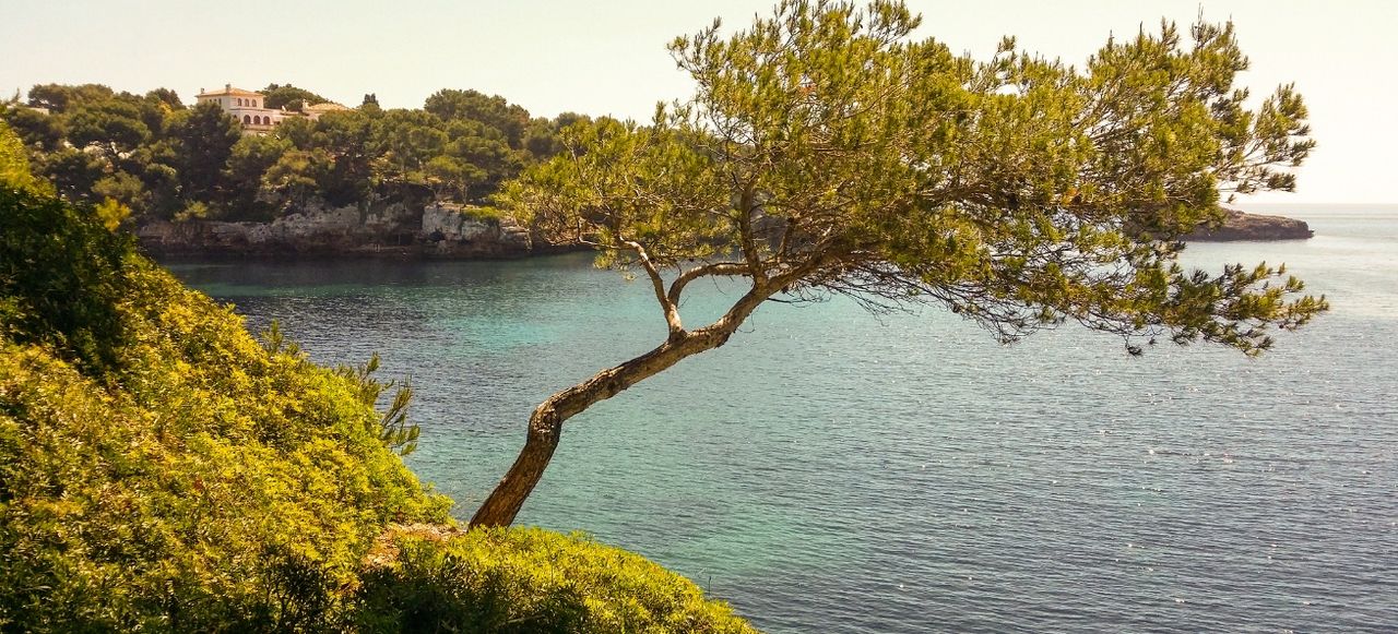Mallorca cala d'or