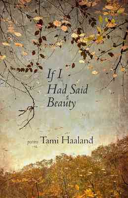 Cover of If I Had Said Beauty