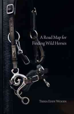 Cover of A Road Map for Finding Wild Horses
