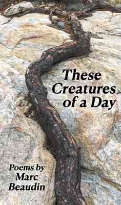 Cover of These Creatures of a Day
