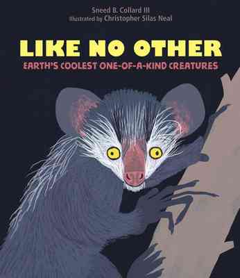 Cover of Like No Other
