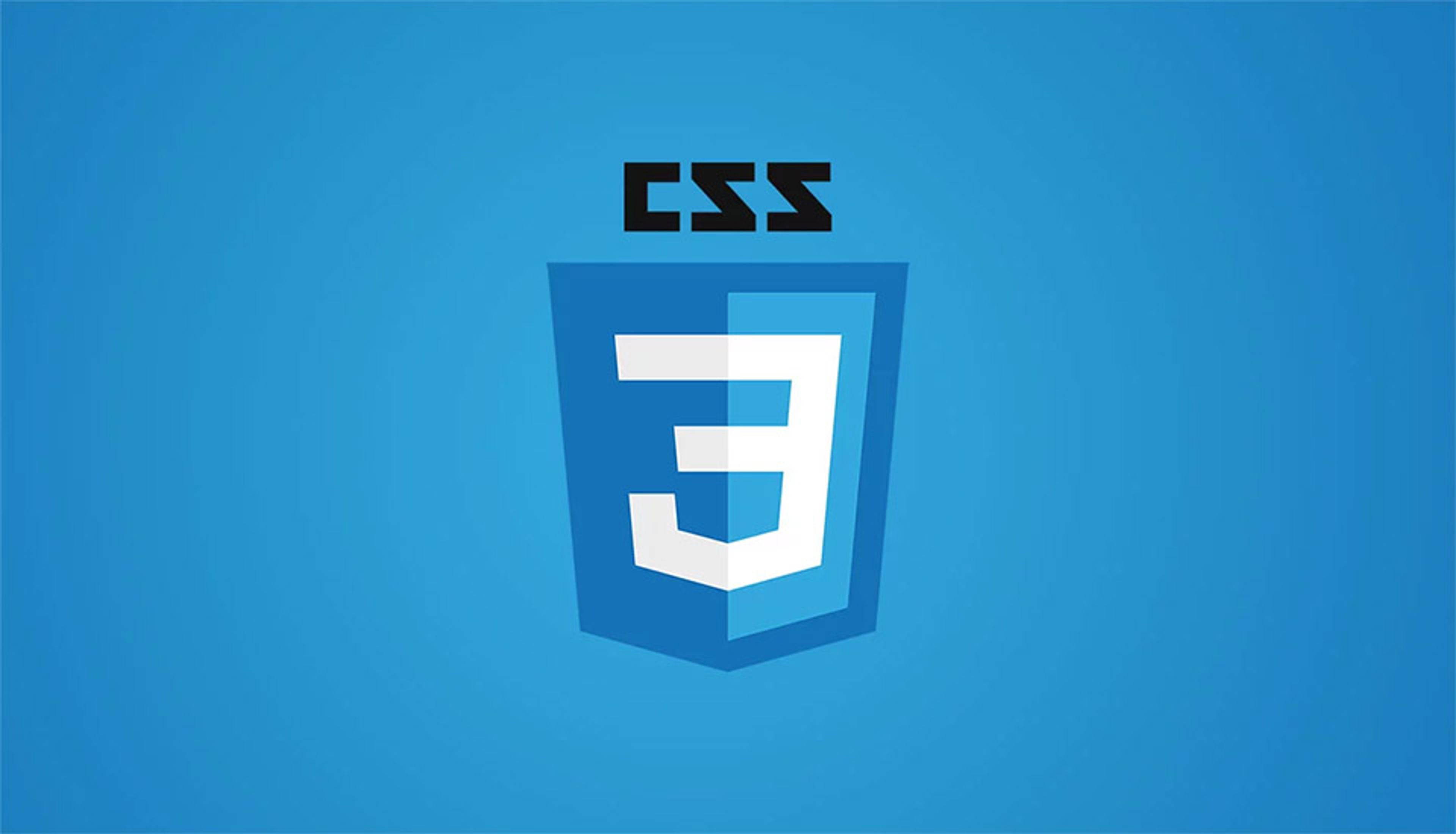 CSS logo