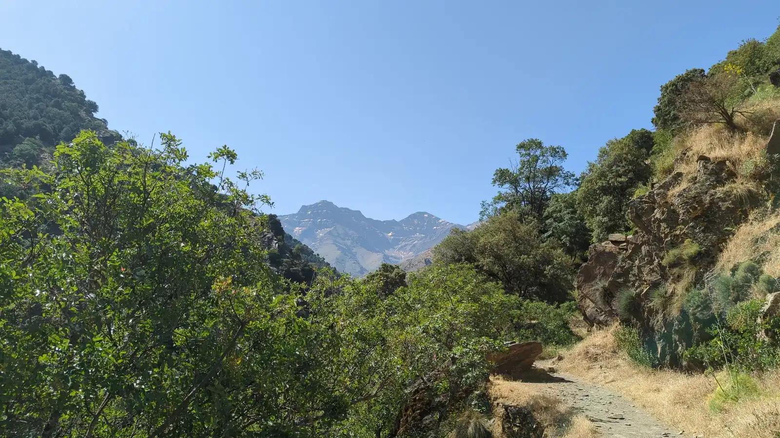 The Vereda de la Estrella, a low-altitude woodland path in the Genil valley for walking in the Sierra Nevada
