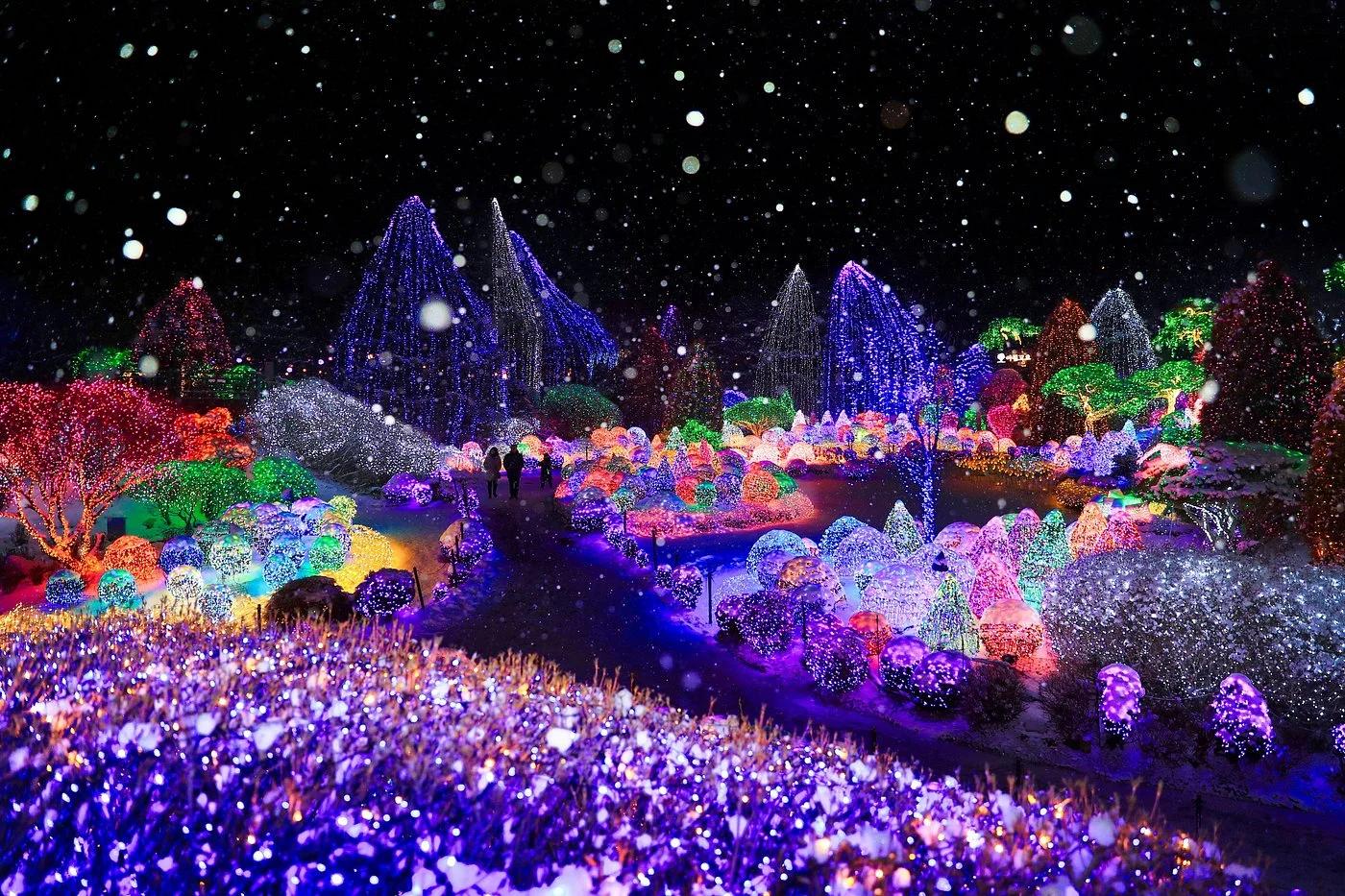 Garden of Morning Calm winter light festival in Gapyeong, South Korea, with colourful illuminated trees and snow