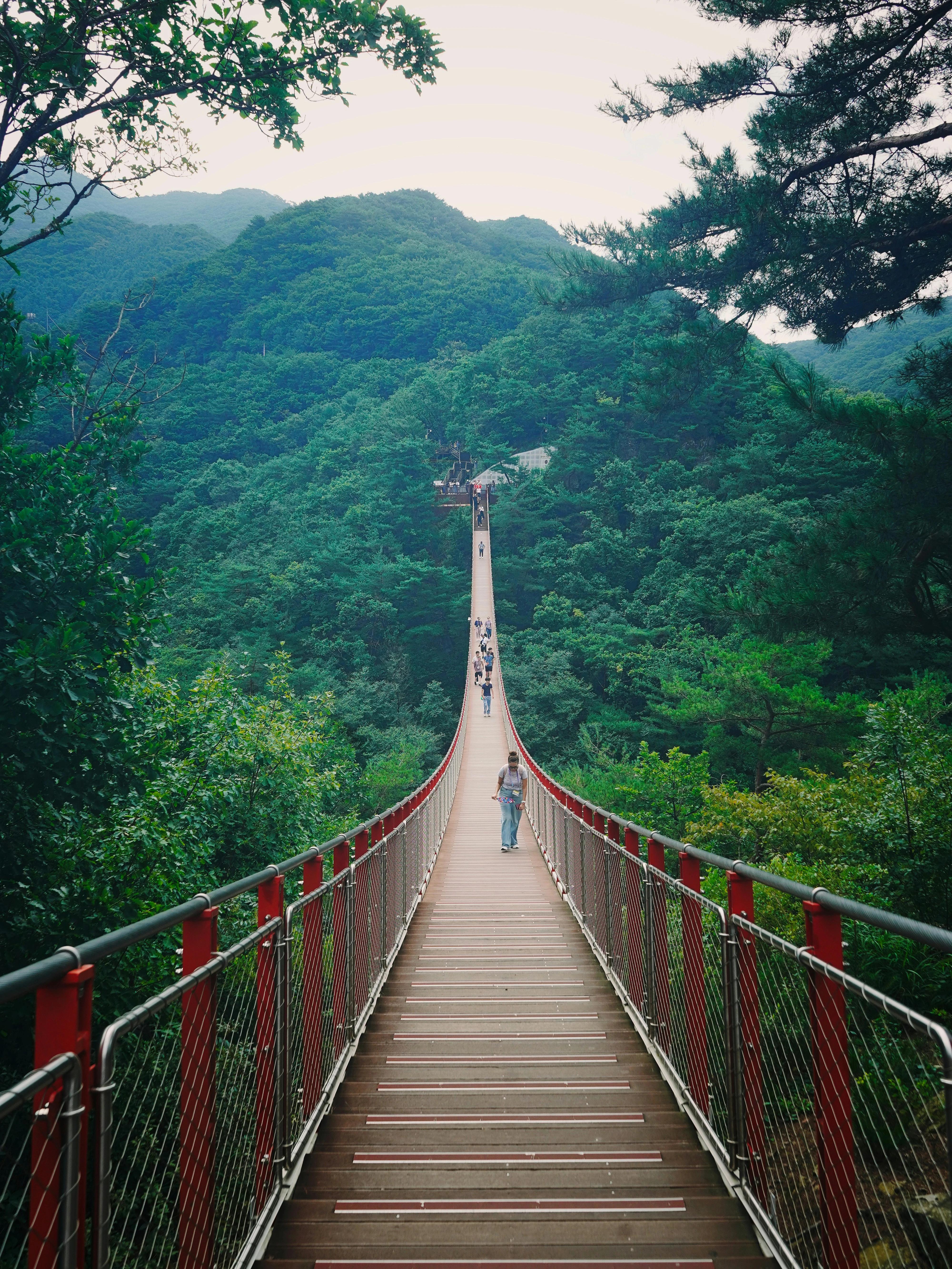 Gamaksan Suspension Bridge, also known as the Gloucester Heroes Bridge, visited as part of a DMZ day tour from Seoul
