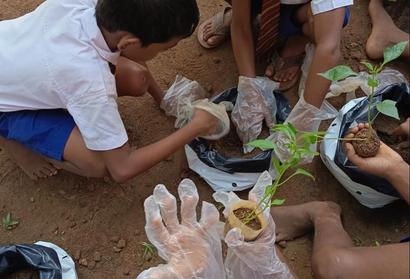 Functional Educational Garden Sustainability Project