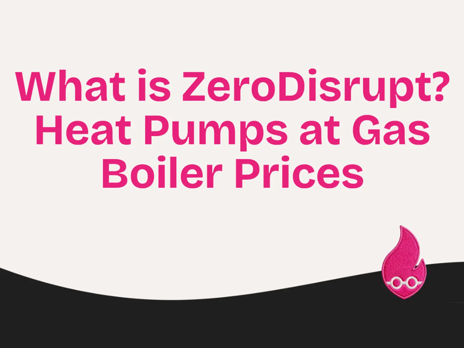 What is ZeroDisrupt? Heat Pumps at Gas Boiler Prices