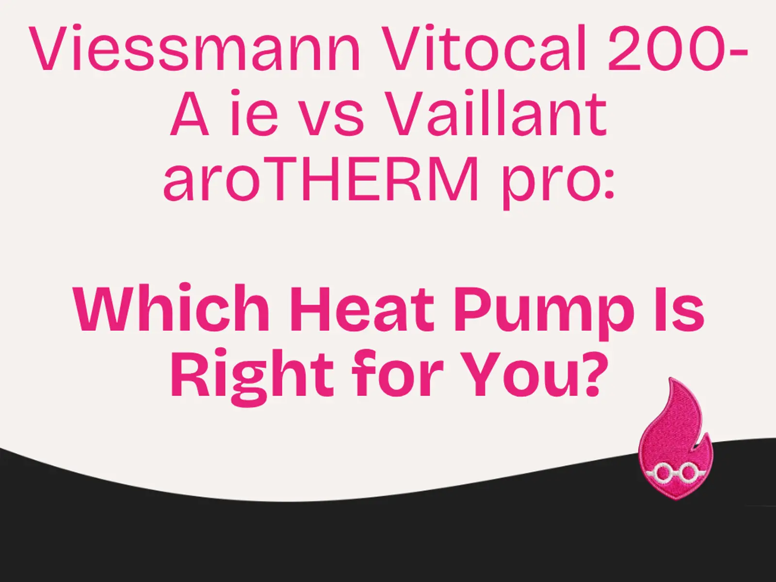 Viessmann v Vaillant