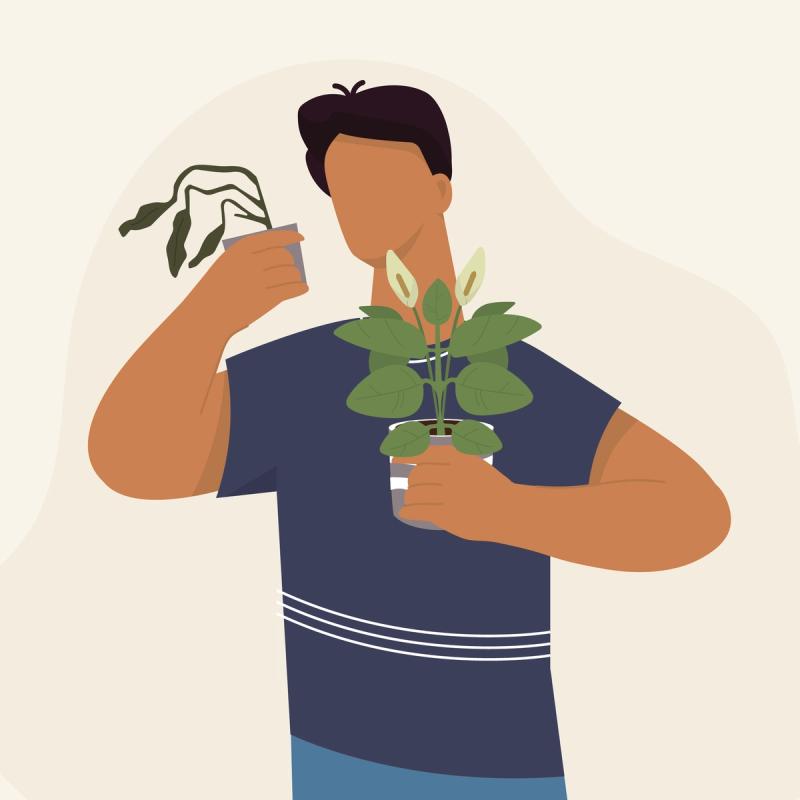 Illustration of man holding a healthy plant in one hand and a decaying plant in the other