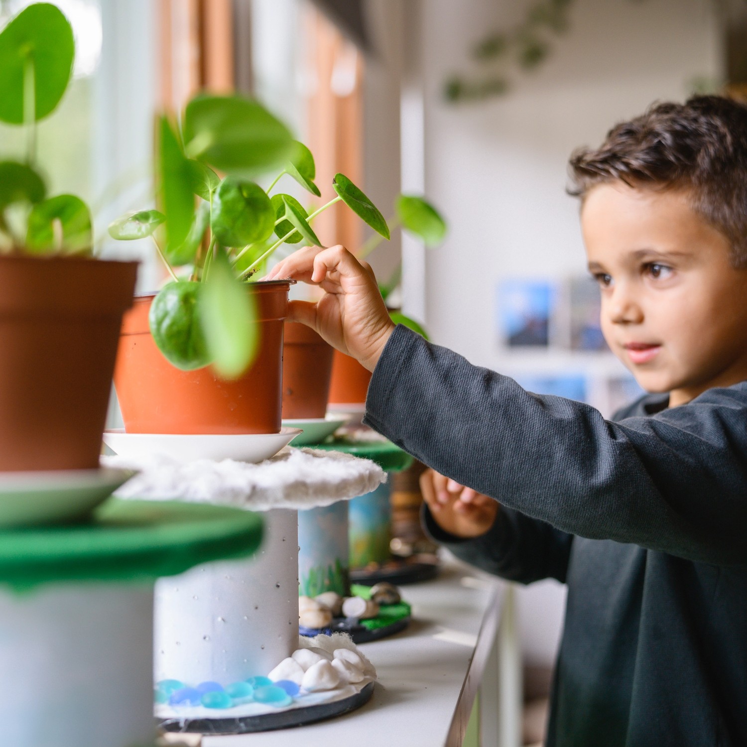 liten pojke som pillar på växten elefeantöra