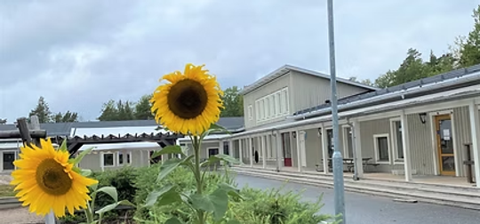 Lärande Förskola Mölnvik