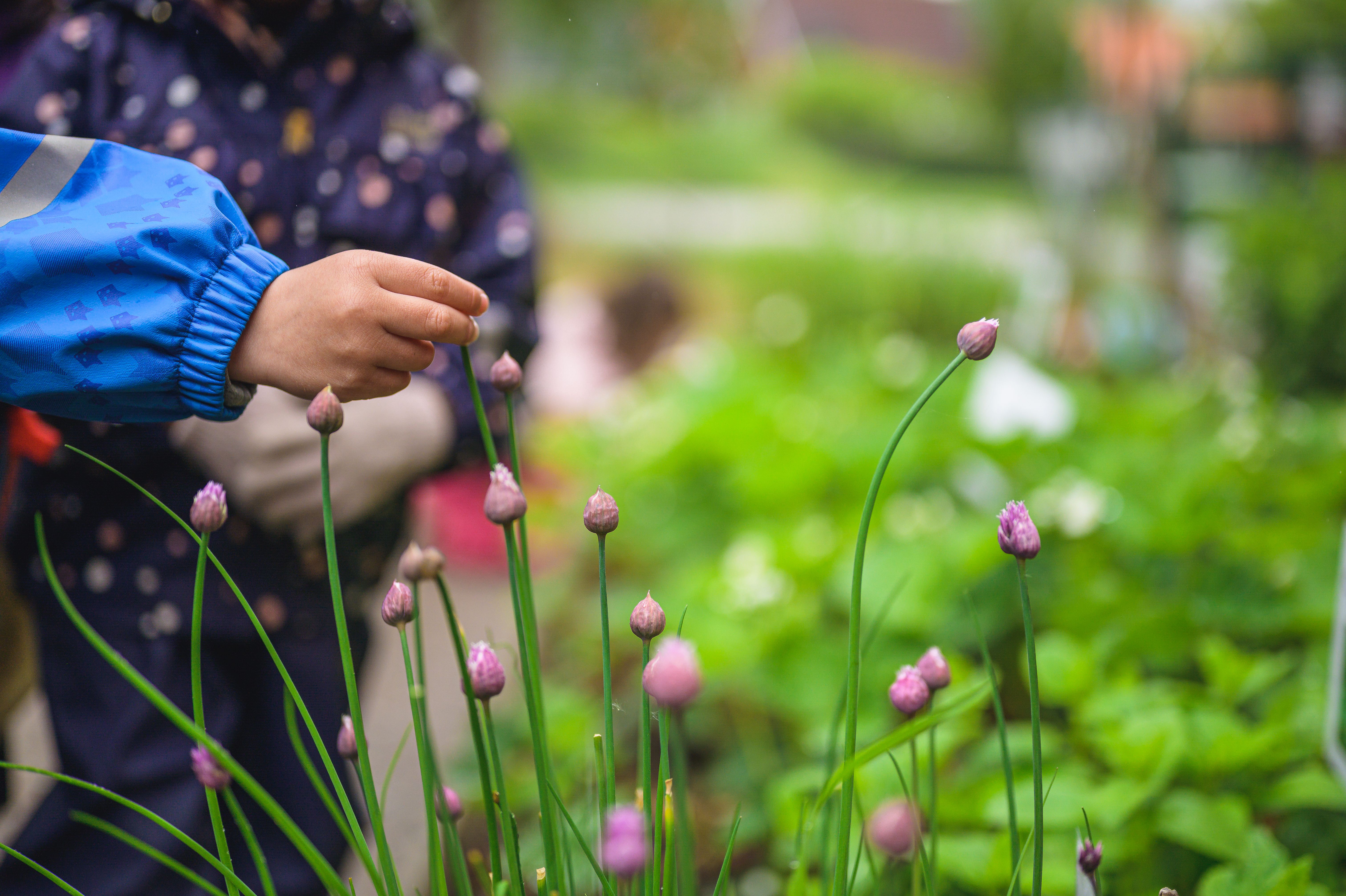 barn rör växt utomhus
