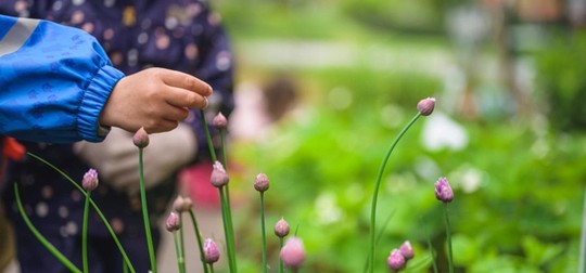 barn rör växt utomhus