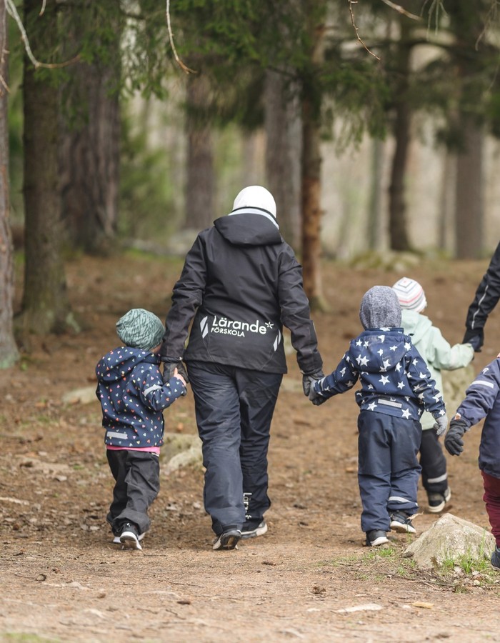 Grupp på väg mot skogen