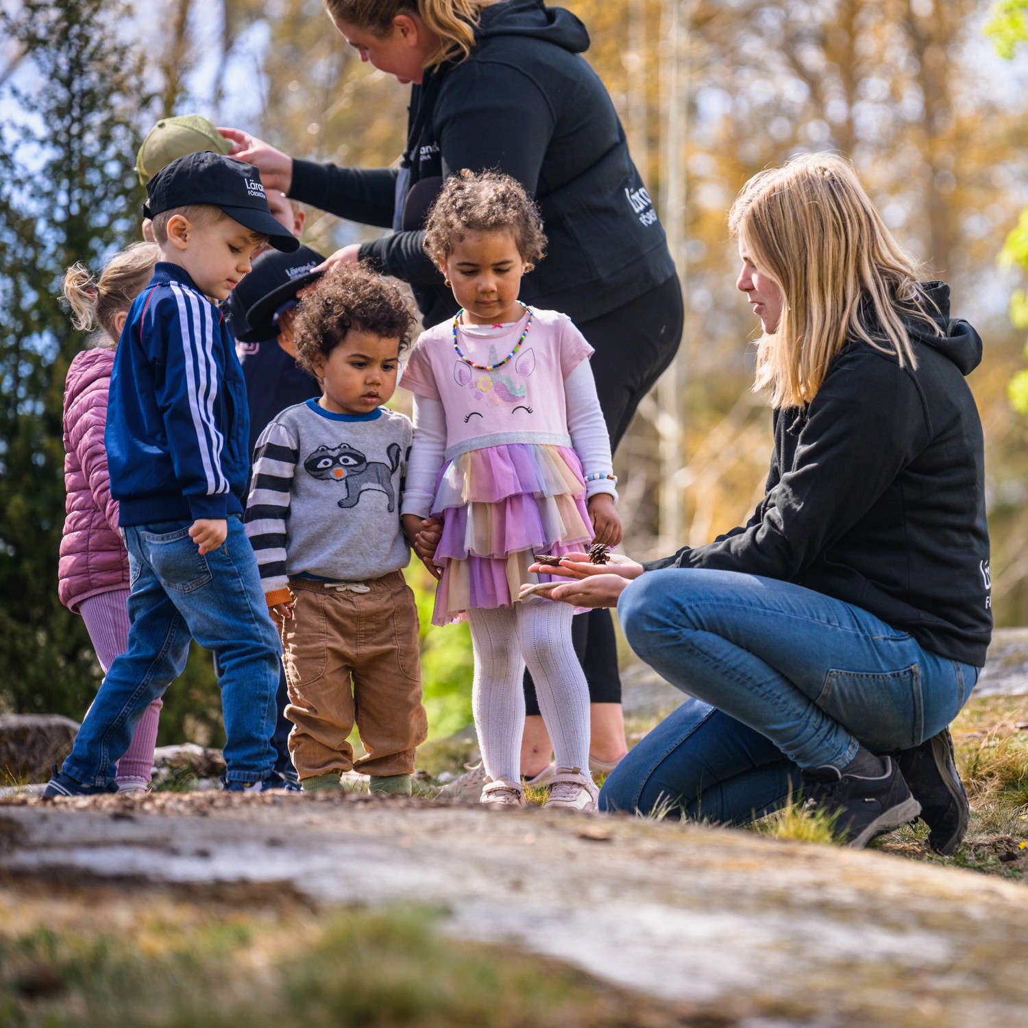 Pedagog med barngrupp som kollar på kottar