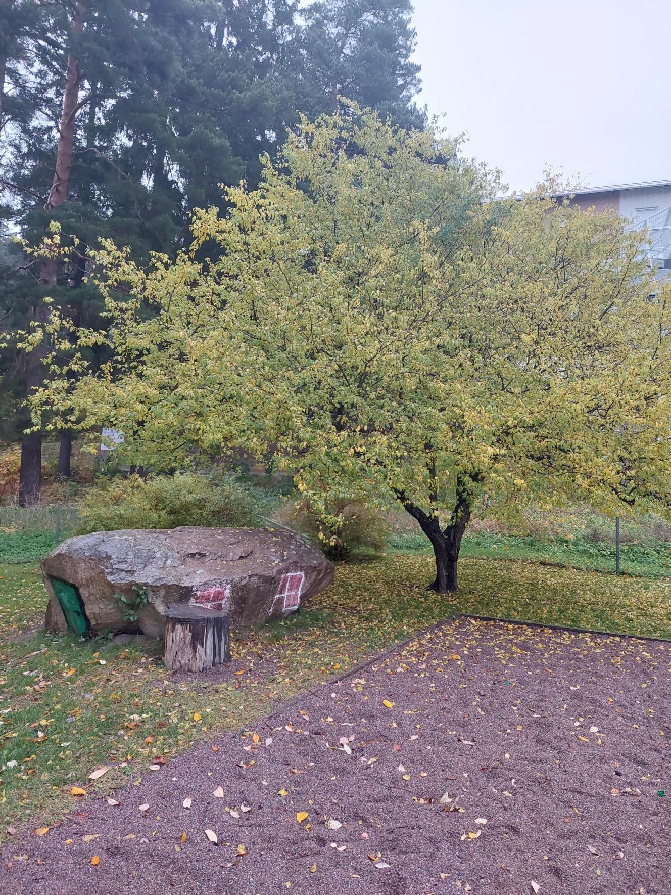 Lärande Förskola Omvärlden