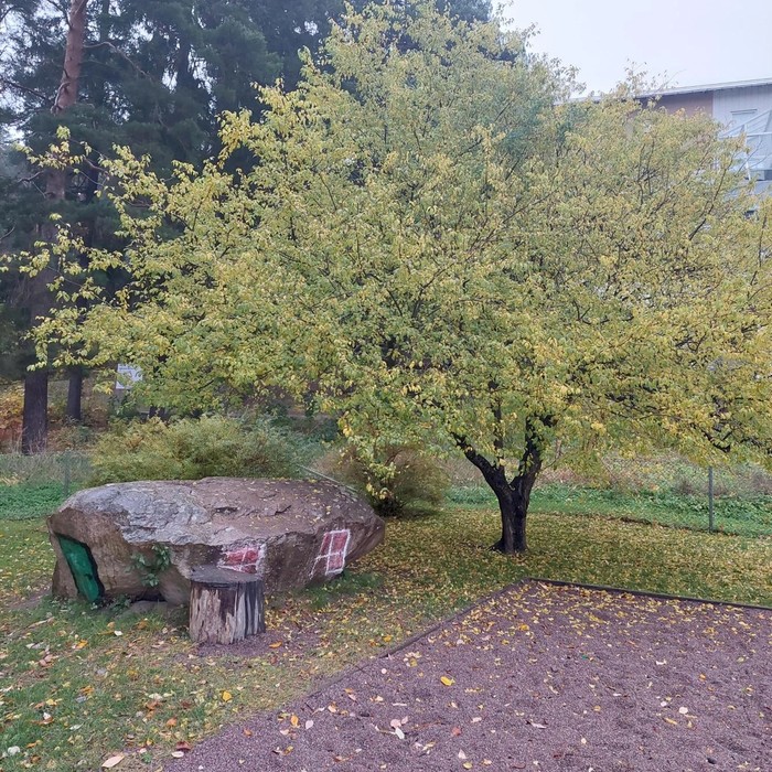 Lärande Förskola Omvärlden