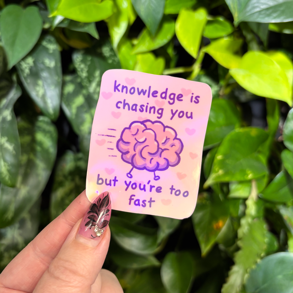 Knowledge is chasing you