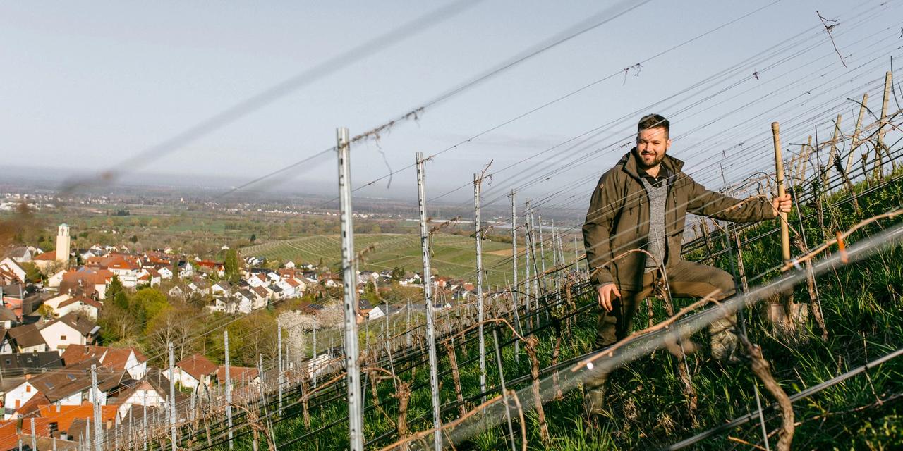 Weingut Kopp